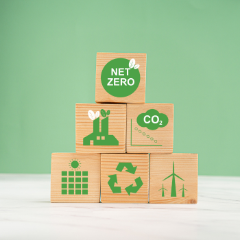 What Carbon Offsetting Actually Does – and Why Travel is the Missing Piece